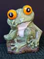 Pop-eyed Frog